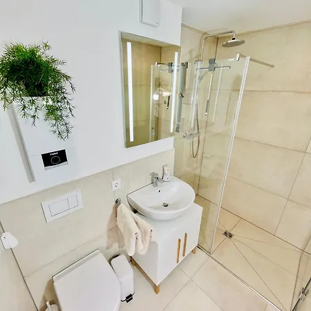 Leo * Langenfeld (North Rhine-Westphalia)